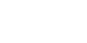 rogue.png